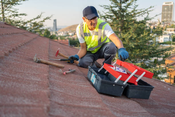 Best Storm Damage Siding Repair  in Burt, MI